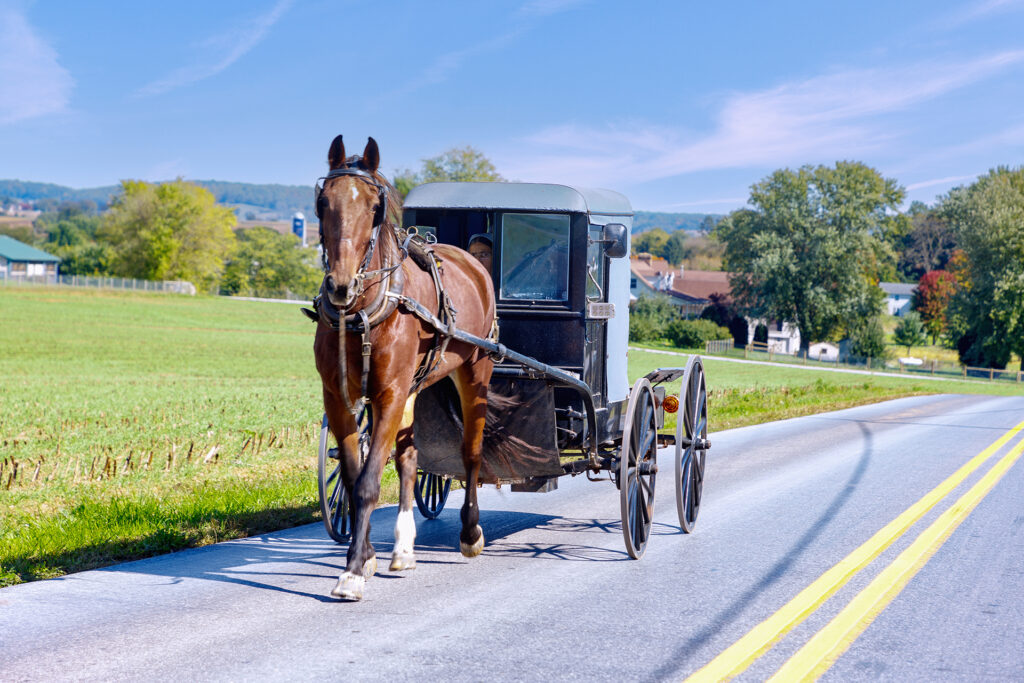 Amish-Pferde-Kutschwagen auf einer Landstraße bei Strasburg im Pennsylvania Dutch Country, umgeben von grünen Feldern.