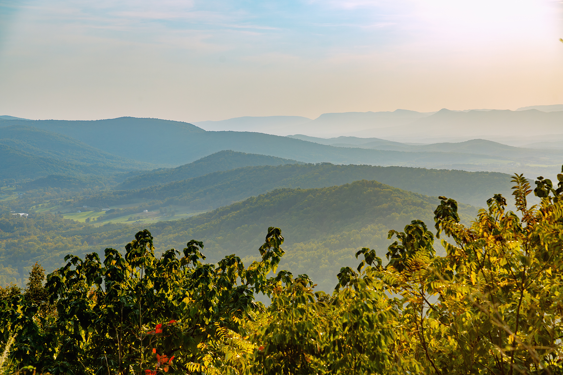 Panorama-Ausblick auf die Virginia Blue Ridge Mountains vom Skyline Drive im Shenandoah National Park, mit sanften Hügeln und weiten Ausblicken auf die bewaldete Landschaft.